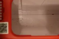 SALE OUT. PETKIT Automatic Cat Litter Box | Purobot Max Pro 2 | White | USED, DIRTY, MISSING INNER PACKAGING | 24 month(s) – pilt 4