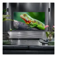 LG 43QNED84A6C.AEU teler 109,2 cm (43") 4K Ultra HD Nutiteleri funktsioon WiFi Must
