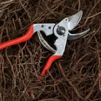 Felco | One-hand pruning shear | FELCO 14 – pilt 3