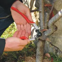 Felco | One-hand pruning shear | FELCO 13 – pilt 3