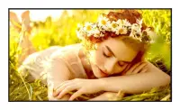 LG 43UL5Q-E Digital signage lameekraan 109,2 cm (43") LED WiFi 350 cd/m² 4K Ultra HD Must WebOS 24/7