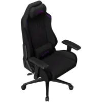 LORGAR CHA41, Ergonomic Gaming Chair Advanced, premium anti-stain fabric, Black/purple – pilt 20