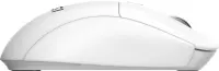 KEYBOARD +MOUSE/FORGE K210 W COMBO WHITE MSI – pilt 13