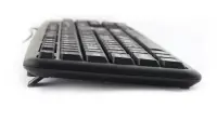 ESPERANZA WIRED BIG LETTERS USB KEYBOARD FLORIDA – pilt 4
