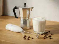 ESPERANZA MINI MILK FROTHER LATTE WHITE