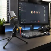 ESPERANZA MICROPHONE STUDIO PRO – pilt 2