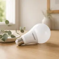 ESPERANZA LED LIGHT A60 E27 9W – pilt 7