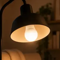 ESPERANZA LED LIGHT A70 E27 16W