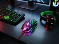 ESPERANZA WIRED MOUSE FOR GAMERS 6D OPT. USB MX211 LIGHTNING – pilt 2