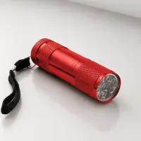ESPERANZA TORCH LED ALTAIR – pilt 2