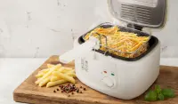ESPERANZA DEEP FRYER SPRING ROLL 2.5L – pilt 10