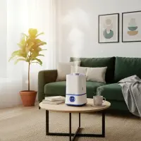 ESPERANZA HUMIDIFIER HYDRO SPA – pilt 2