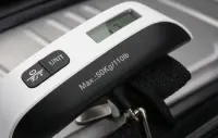 ESPERANZA LUGGAGE SCALE GLOBETROTTER – pilt 9