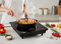 <p>ESPERANZA INDUCTION HOT PLATE VESUVIUS 2000W</p> – pilt 6