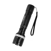 ESPERANZA TORCH LED EPIONE M – pilt 2