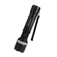ESPERANZA TORCH LED EPIONE L