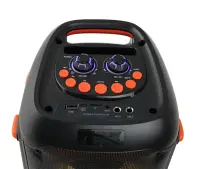 ESPERANZA RGB ILLUMINATED BT SPEAKER FM KARAOKE SINGER – pilt 2