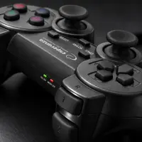 ESPERANZA WIRELESS GAMEPAD 2.4GHZ PS3/PC USB GLADIATOR BLACK – pilt 7