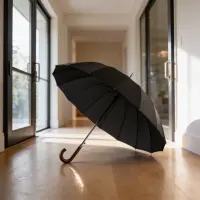 ESPERANZA STRAIGHT UMBRELLA AUTO OPEN 16 RIBS LONDON – pilt 2