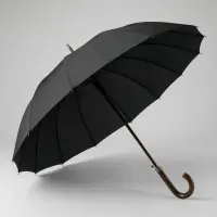 ESPERANZA STRAIGHT UMBRELLA AUTO OPEN 16 RIBS LONDON – pilt 6