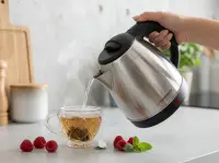 ESPERANZA ELECTRIC KETTLE SPRING 1.0 L INOX