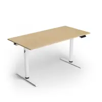 Arozzi Electric Standing Desk | Arena Nordico | Birch – pilt 4