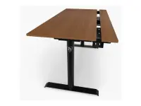 Arozzi Electric Standing Desk | Arena Nordico | Walnut – pilt 3