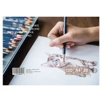 Joonistusplokk, 20 lehte, A4, 120 gsm, kaas 130 gsm (kogus 5 tükki)