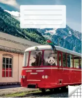Kaustik 36 lehte, ruuduline (kogus 5 tükki)