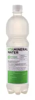 Greibi ja sidrunheina maitseline Power vesi VITAMINERAL 0,75 l (kogus 12 tükki)
