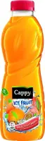 CAPPY Mahlajook Ice Fruit multivitamiini 0,5 L
