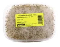 Mahe lutserni idud , 100 g, TK