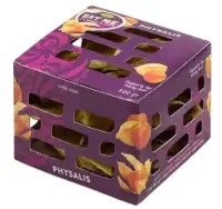 Füüsal, 100g, TK