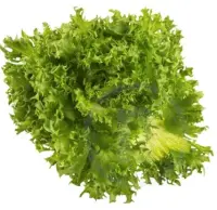Salat Frillice,  kg