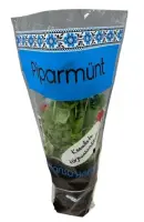 Piparmünt potis Hansa Herbs, TK