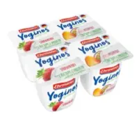 Jogurt EHRMANN Yoginos maasikas-virsik-passion, 4x100g (kogus 6 tükki)