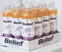 Energiavesi BELIEF gaseeritud Passionimaitseline 530ml, PET (kogus 12 tükki)