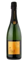 KPN vahuvein HOYA DECADENAS Cava Brut Nature Blanco, 11,5%, 0,75l