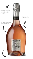 Prosecco GABRY ROSE' SPUMANTE BRUT 0.75l 12%