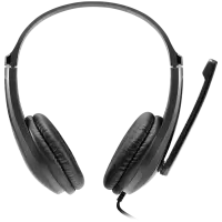 CANYON PC headset CHSU-1 PC Mic USB 2m Black