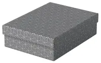 Hoiukast kaanega ESSELTE Home Storage Box (265 x 100 x 360 mm) 3tk pakis