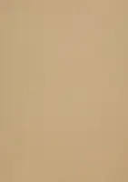 Dekoratiivpaber A4 120g CURIOUS Gold Leaf (408161) 50 lehte