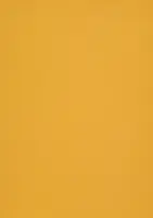 Dekoratiivpaber A4 120g CURIOUS Super Gold (408168) 50 lehte