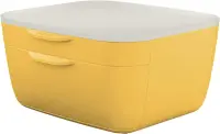 Sahtliboks lauale LEITZ Cosy 2-sahtlit kollane