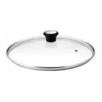 Pannikaas Tefal / 28 cm