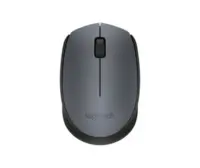 Logitech M171 Wireless Mouse RF Wireless, 1000 DPI, Black/Grey