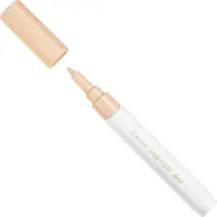 Värvimarker PILOT Pintor  0,7mm heleoranž