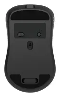 MOUSE USB OPTICAL WRL/MUSW2-7B-01 GEMBIRD – pilt 6