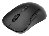 MOUSE USB OPTICAL WRL/MUSW2-7B-01 GEMBIRD – pilt 7