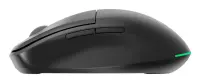 MOUSE USB OPTICAL WRL/MUSW2-6B-01 GEMBIRD